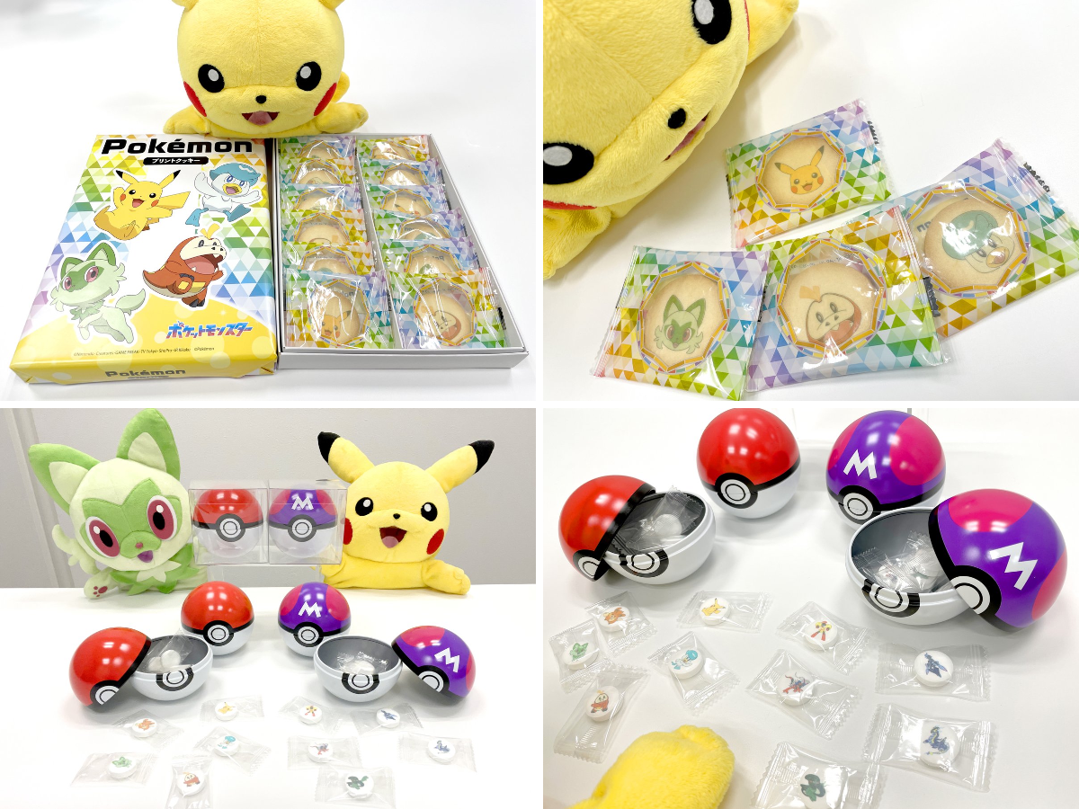 ポケモンだいすきクラブ編集部【公式】 on X: 