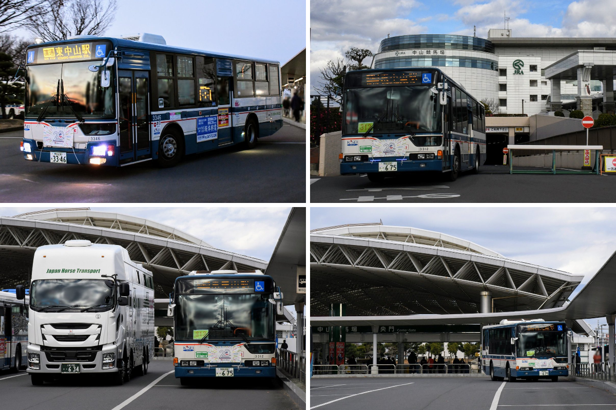 やつひが on X: 