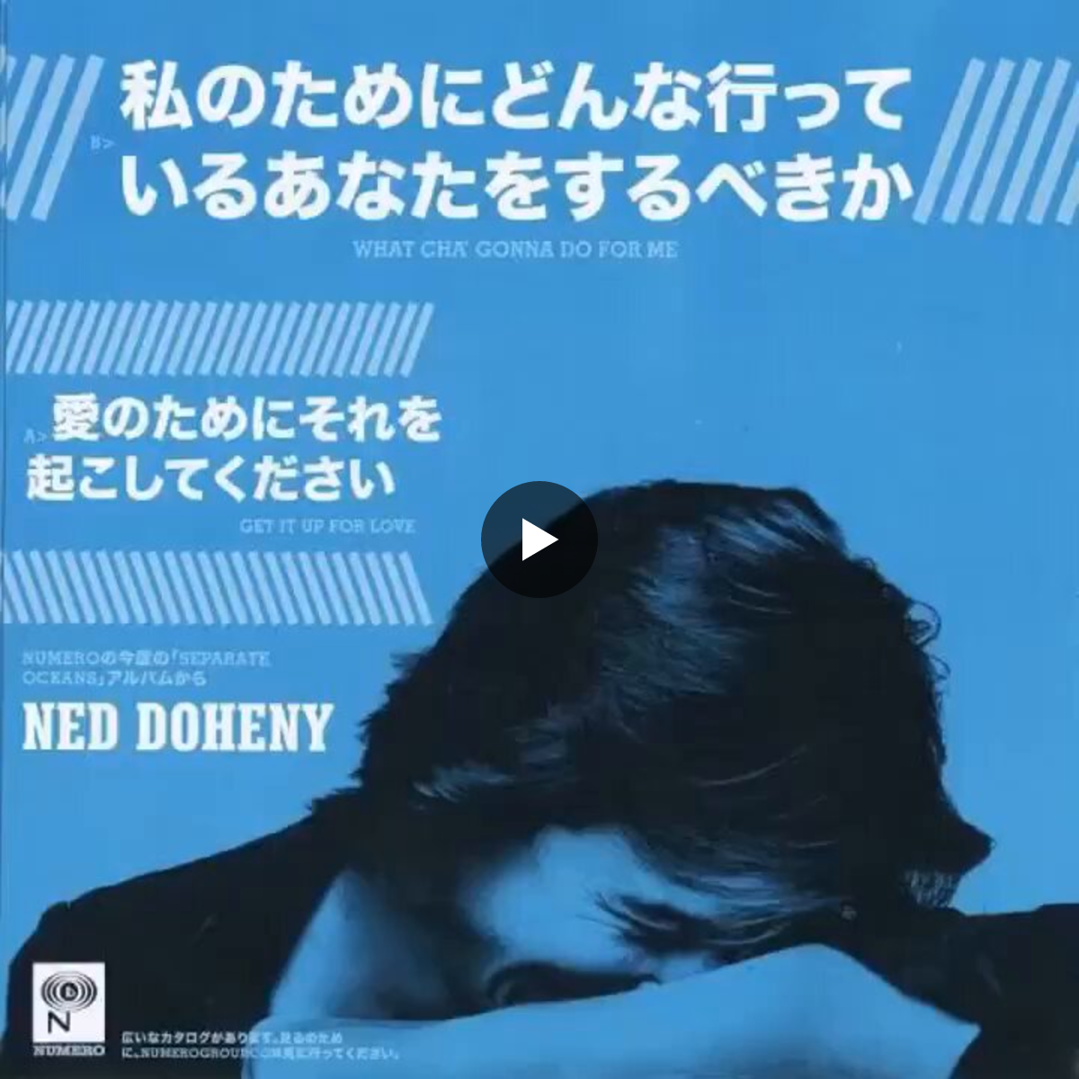豆太郎 ( ・᷄ὢ・᷅ ) on X: 
