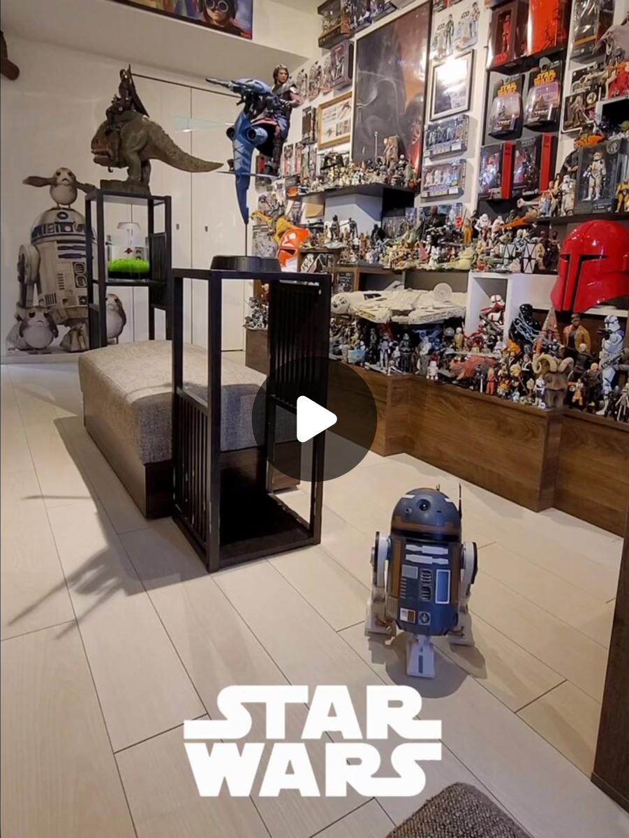 スターウォーズ | コンヴォア通信🦉 on X