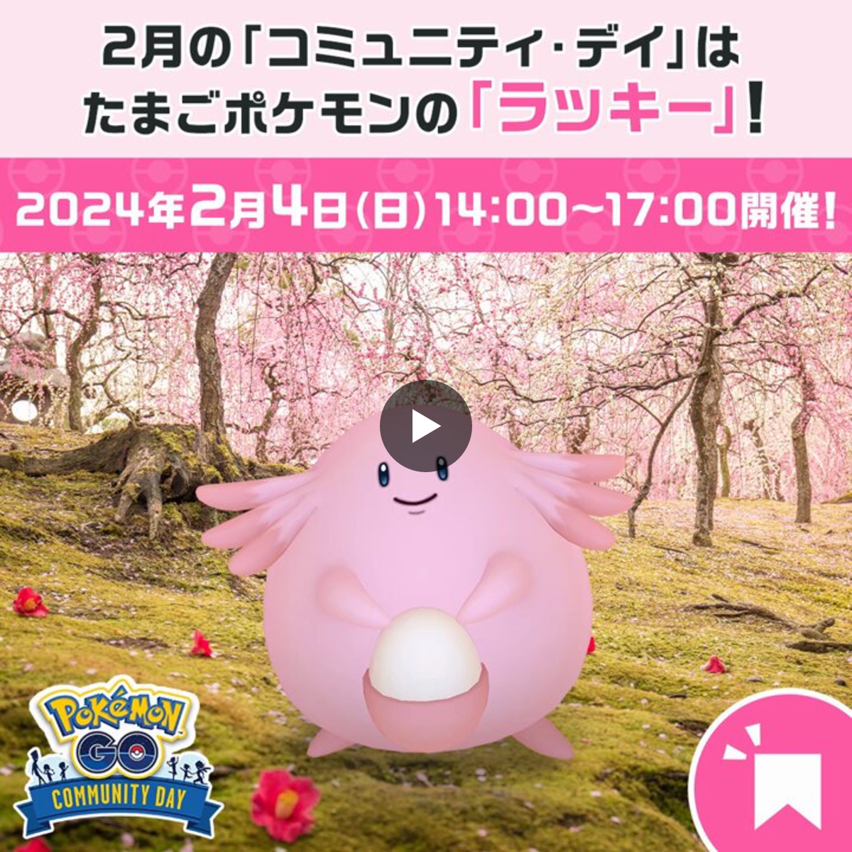 Pokémon GO Japan on X: 