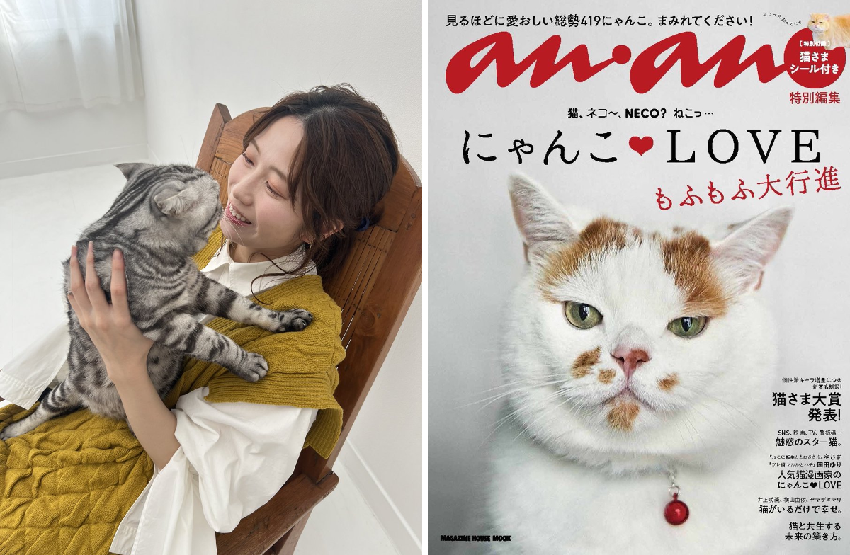 横山由依 on X: 