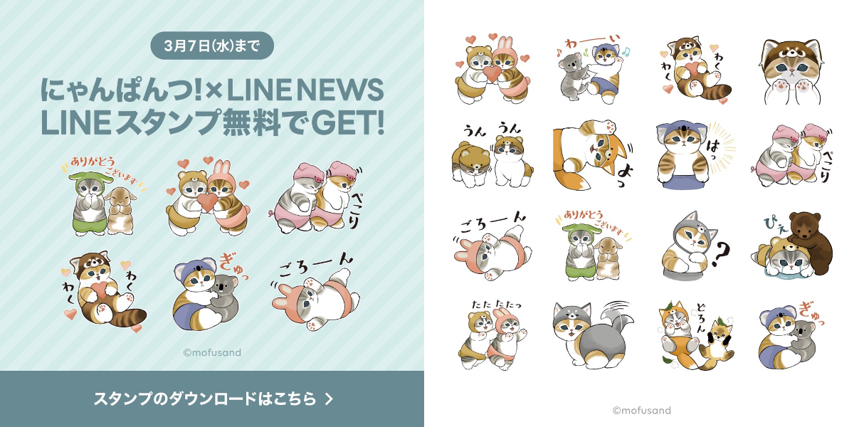 ぢゅの🐈 on X: 