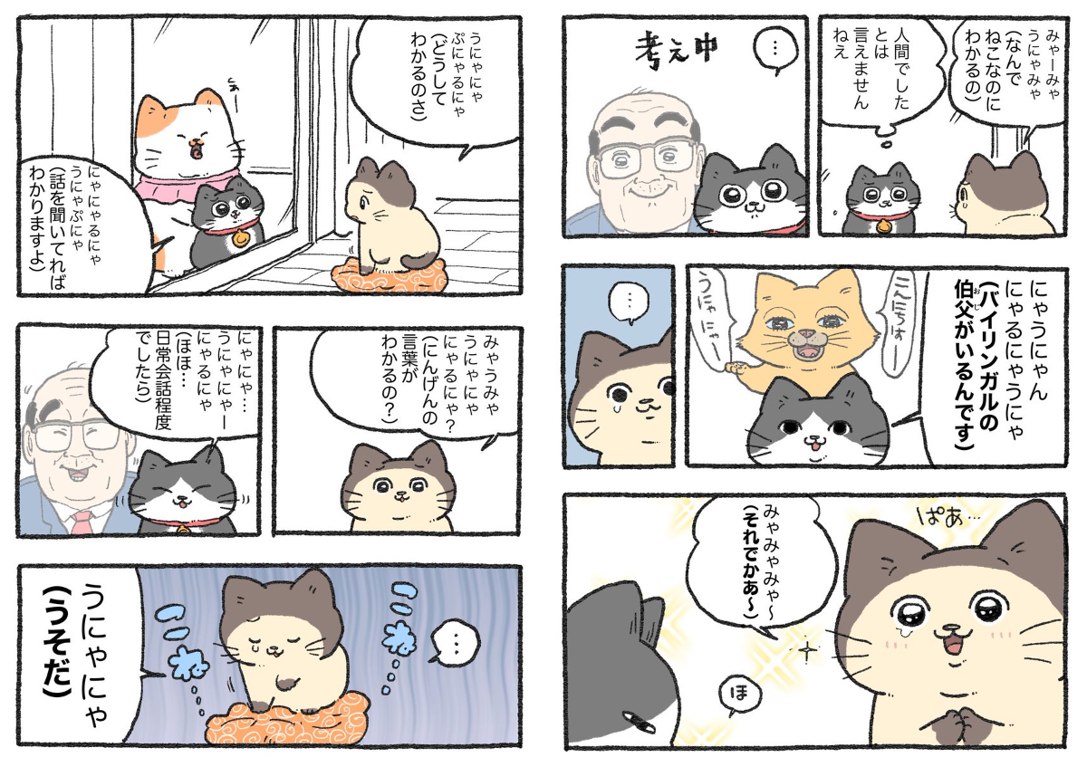 やじま@ねこおじ7・8巻発売中🐱 on X: 
