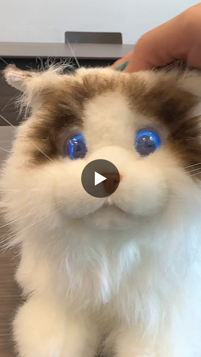 セガ公式アカウント🦔 on X: 