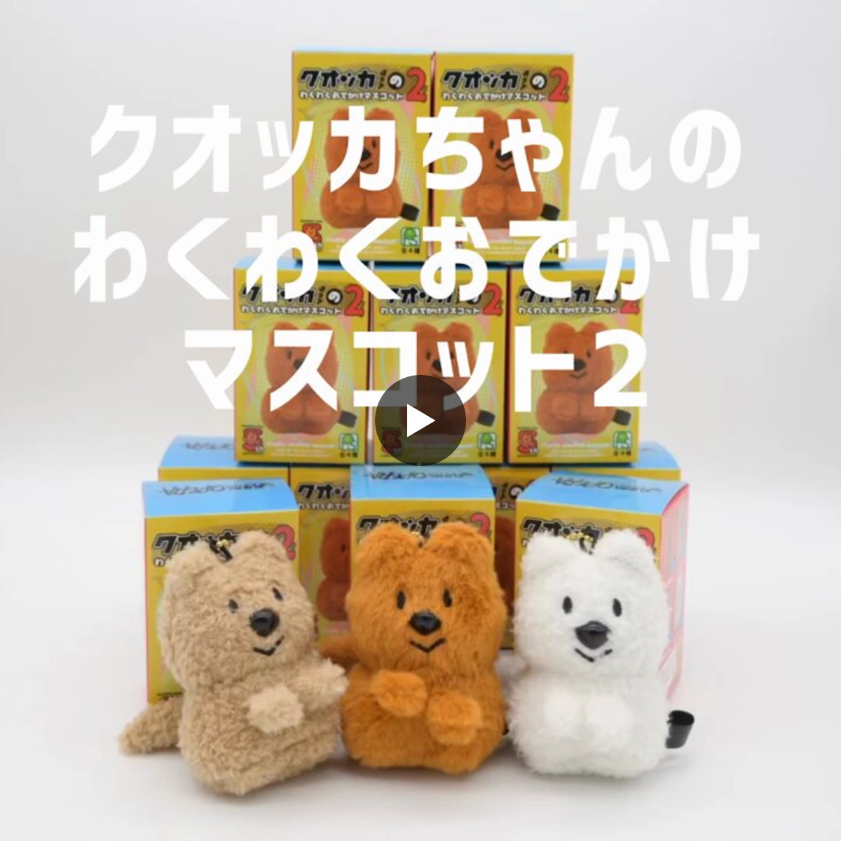 梅林　クオッカちゃん 3点セット 1781246359074742476