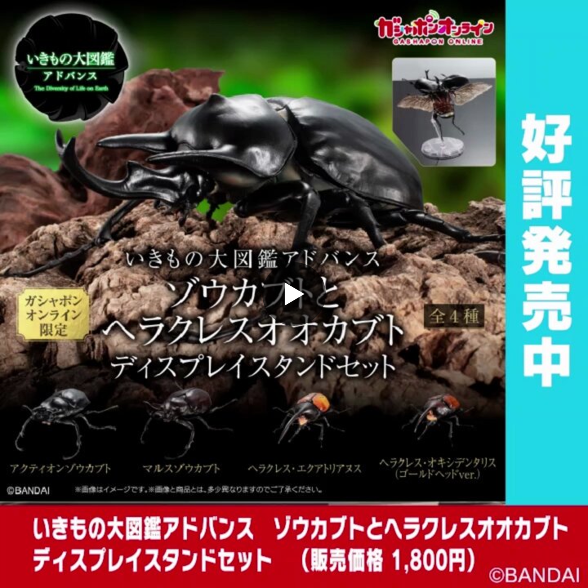 公式】バンダイ ガシャポン on X: 