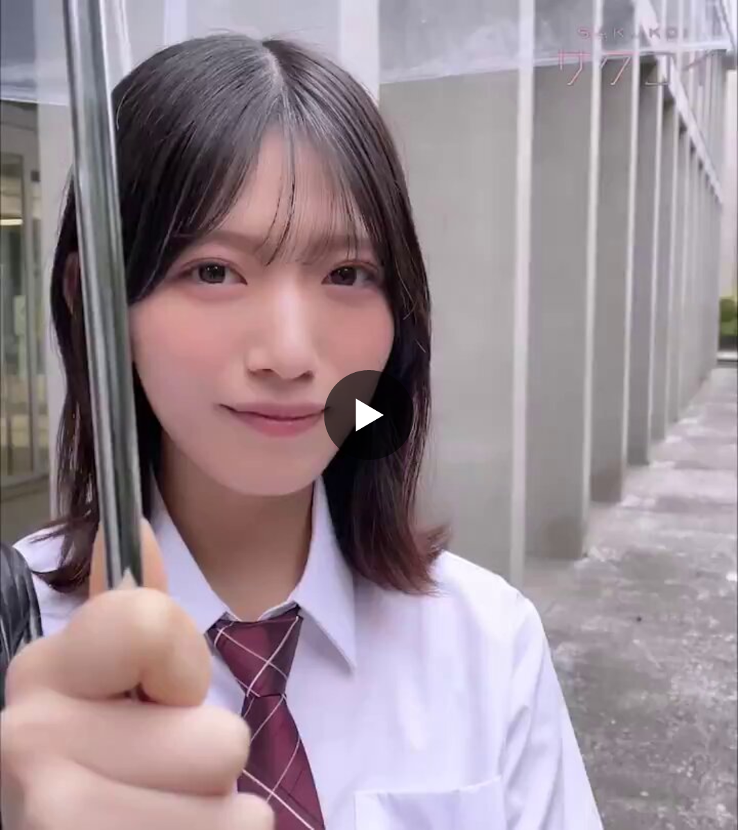 サクコイ【公式】 on X: 
