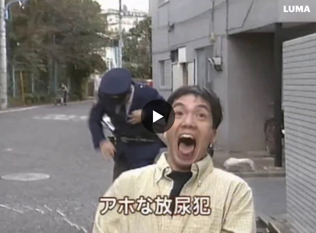 活動歴および当時の関連ビジュアル記録
