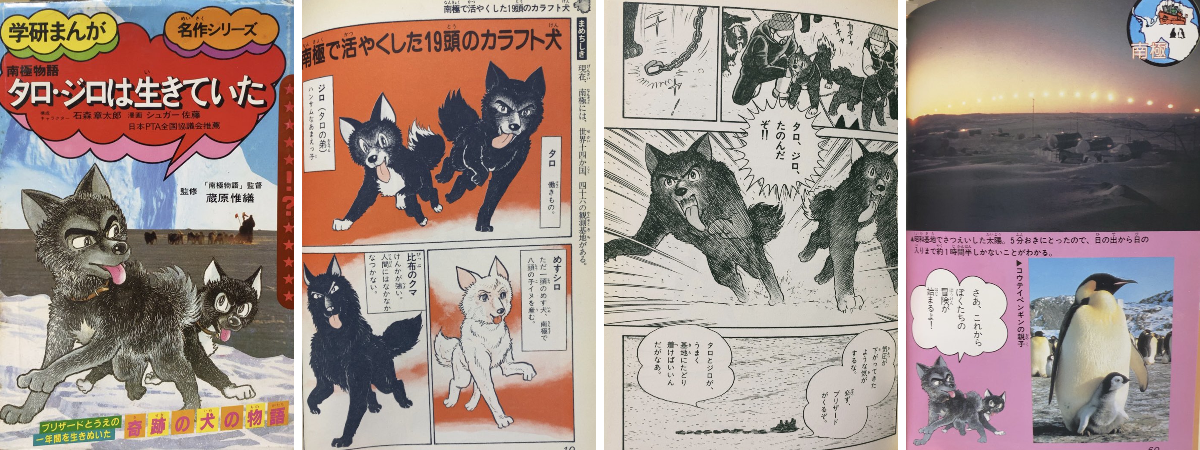 書肆鯖【ショシサバ】 on X: 