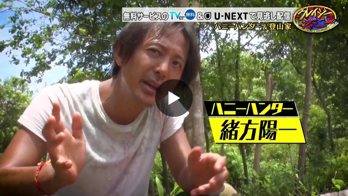 Ａ*7様 クレイジージャーニー ハンティングハニー　緒方陽一 クレイジージャーニー【月曜よる11時56分】 on X: 