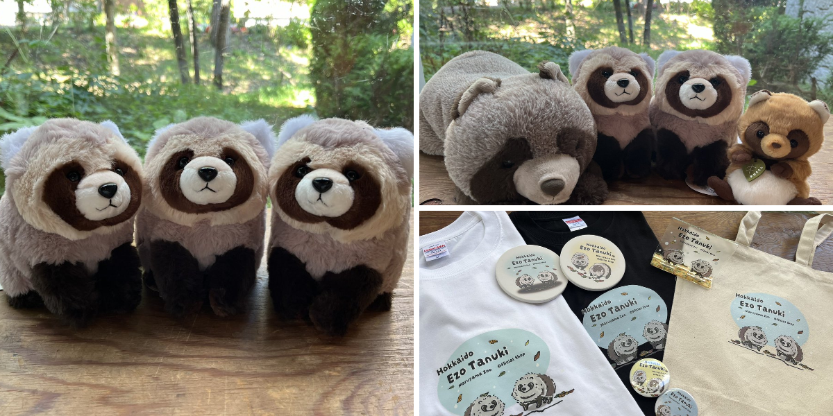 円山動物園オフィシャルショップ on X: 