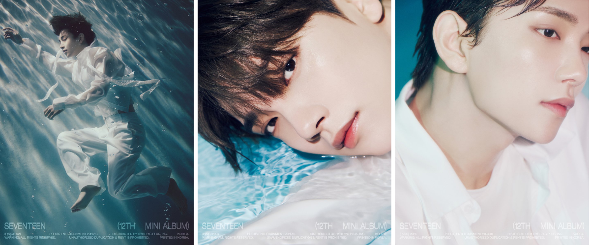 세븐틴(SEVENTEEN) on X: 