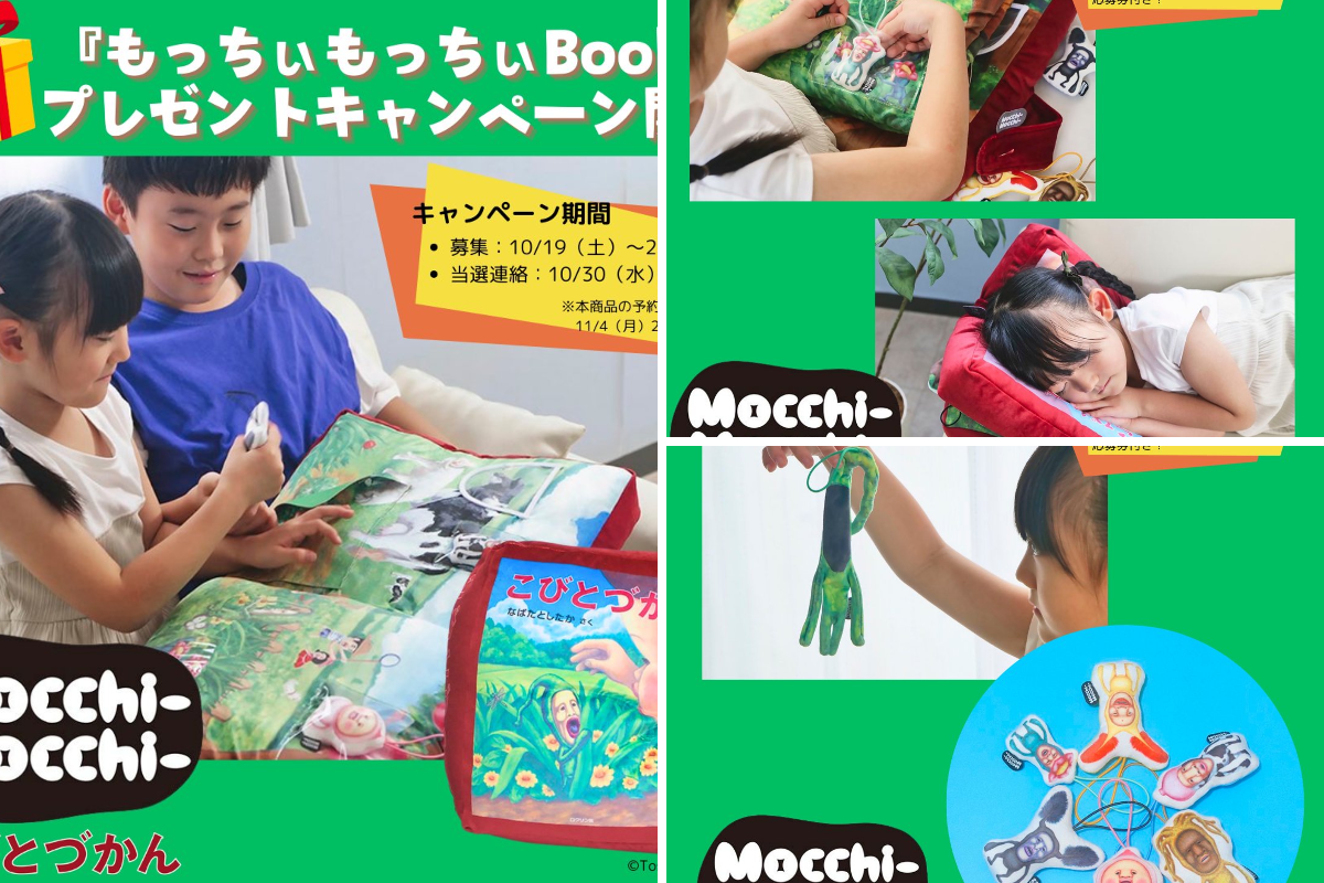 こびとづかん公式📚🌿 on X: 