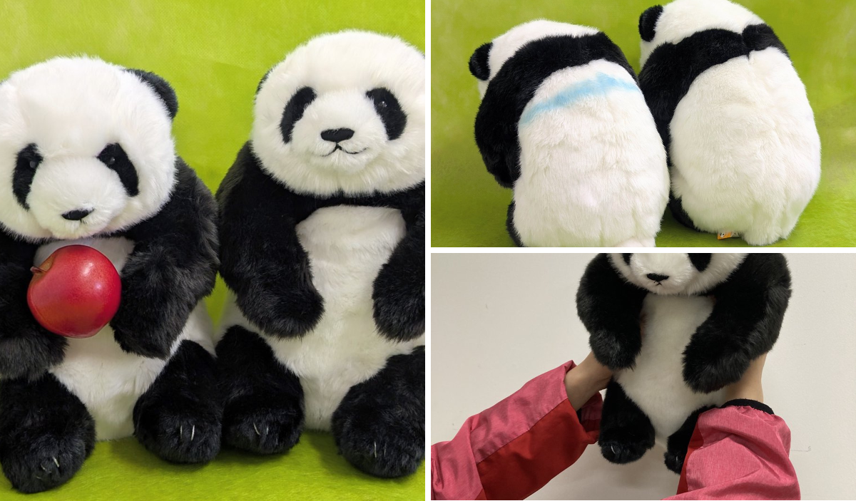 上野動物園［公式］ on X: 