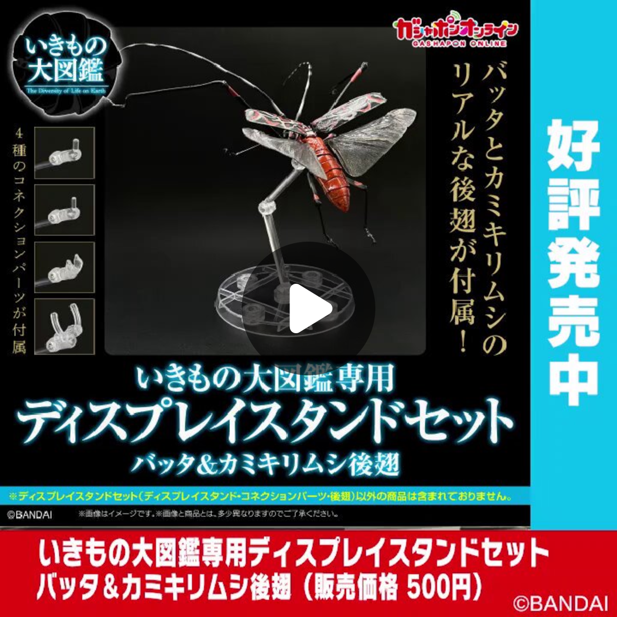 カミキリバッタ等標本用死虫セット 公式】バンダイ ガシャポン on X: 