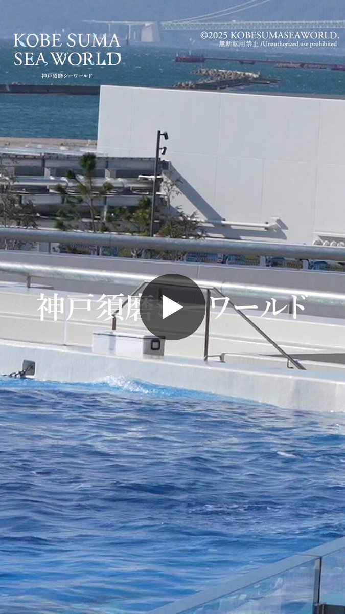 神戸須磨シーワールド on X: 