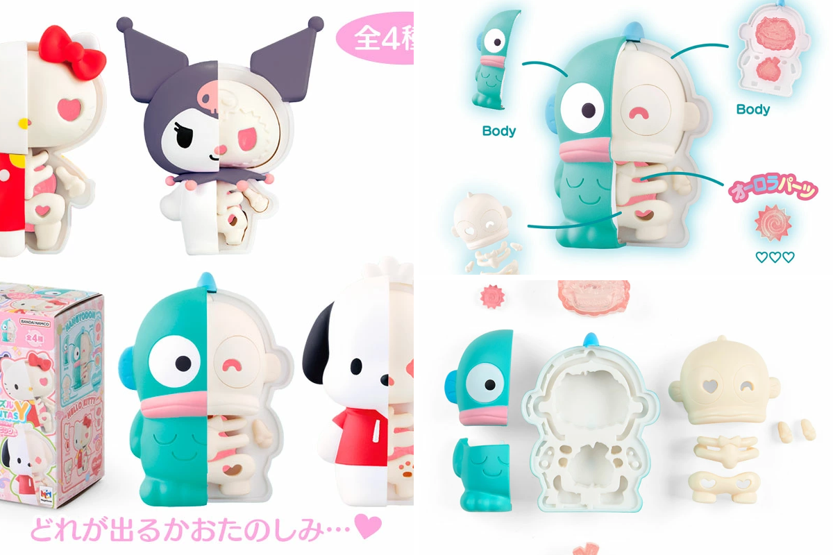 ハンギョドン💙グッズ情報 on X: 