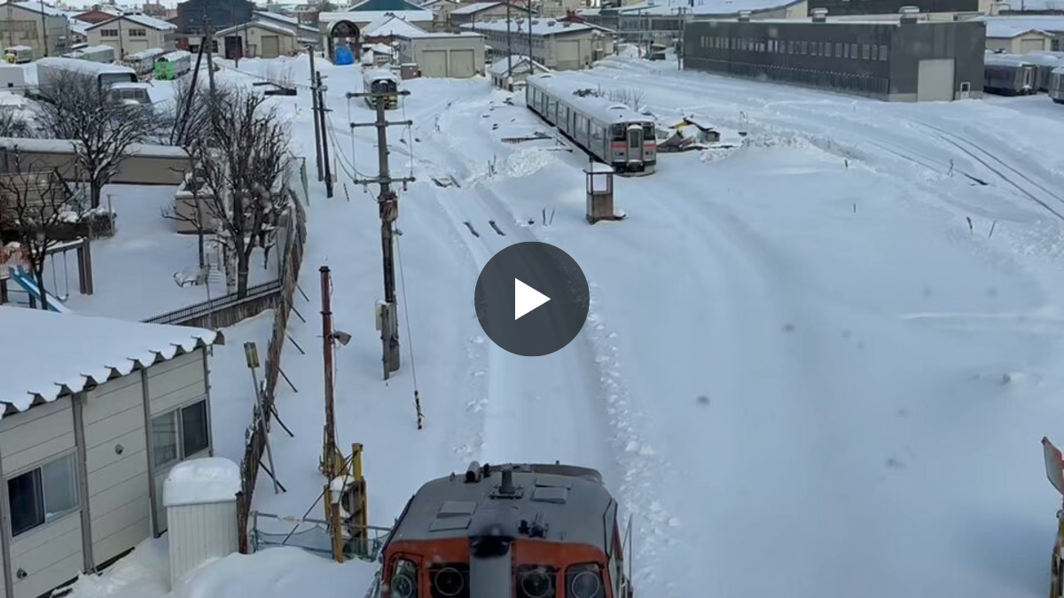 🍙🍚ライス交通🚃🐾 on X: 
