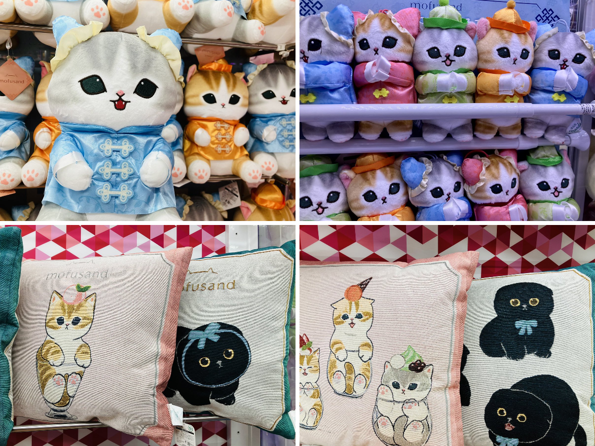タイステ 柏店 på X: 