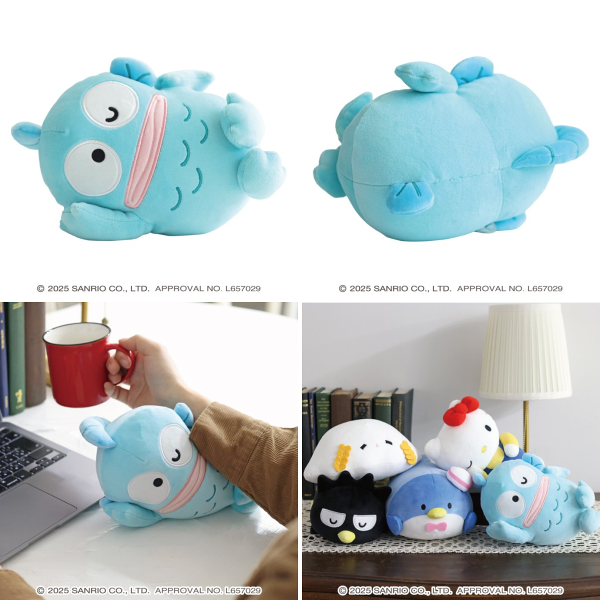 ハンギョドン💙グッズ情報 az X-en: „／ 📢予約受付中⚠️6月発売予定