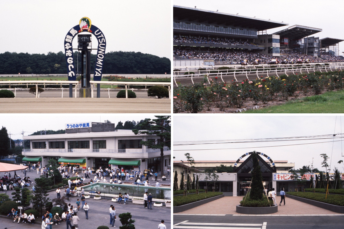 地方競馬全国協会(NAR)公式 on X: 