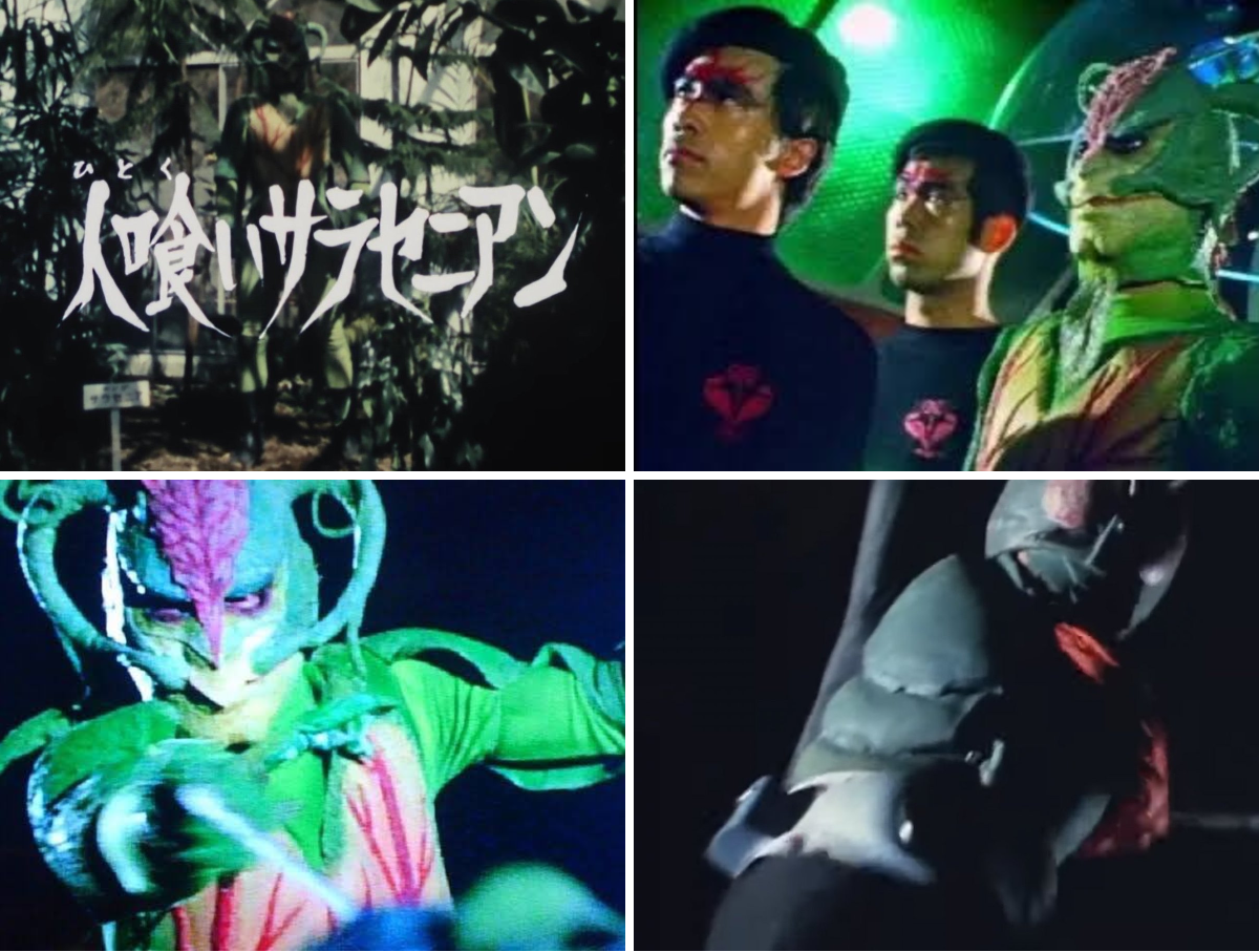🐲BARUGA🔥雷藏🐉 on X: 
