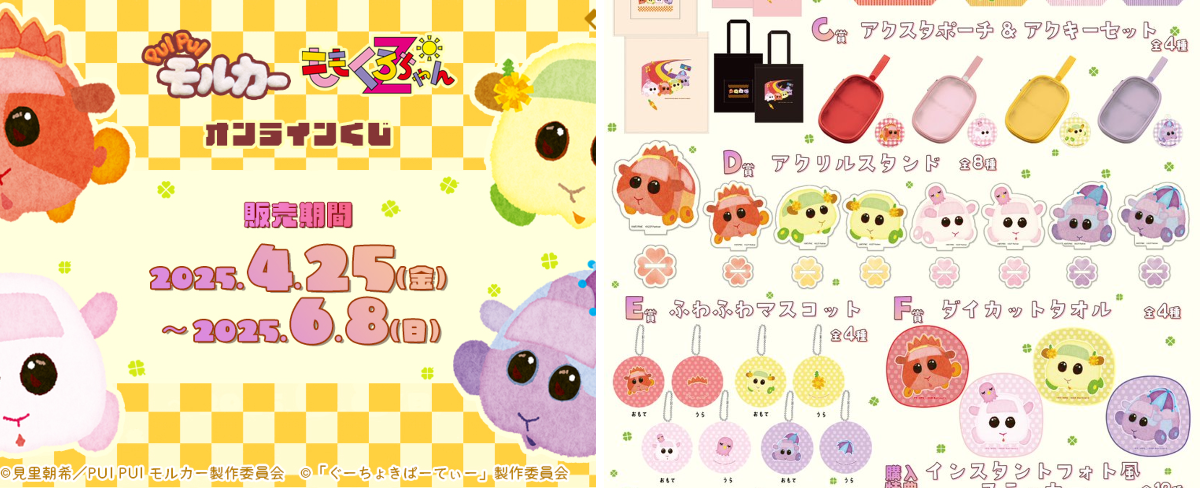 PUI PUI モルカー【公式】 on X: 