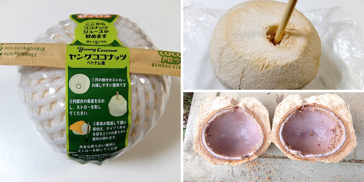 ヤングココナッツ 12個入り 竹ストロー付き上等品 山崎 雅弘 on X: 