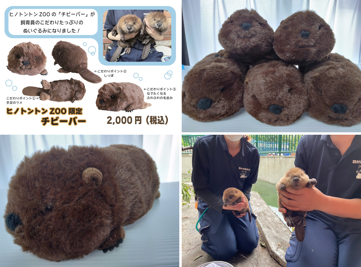 ヒノトントンZOO（羽村市動物公園） on X: 
