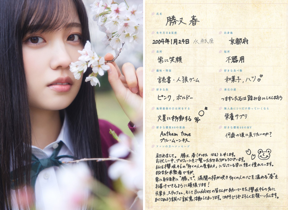 櫻坂46 on X: 