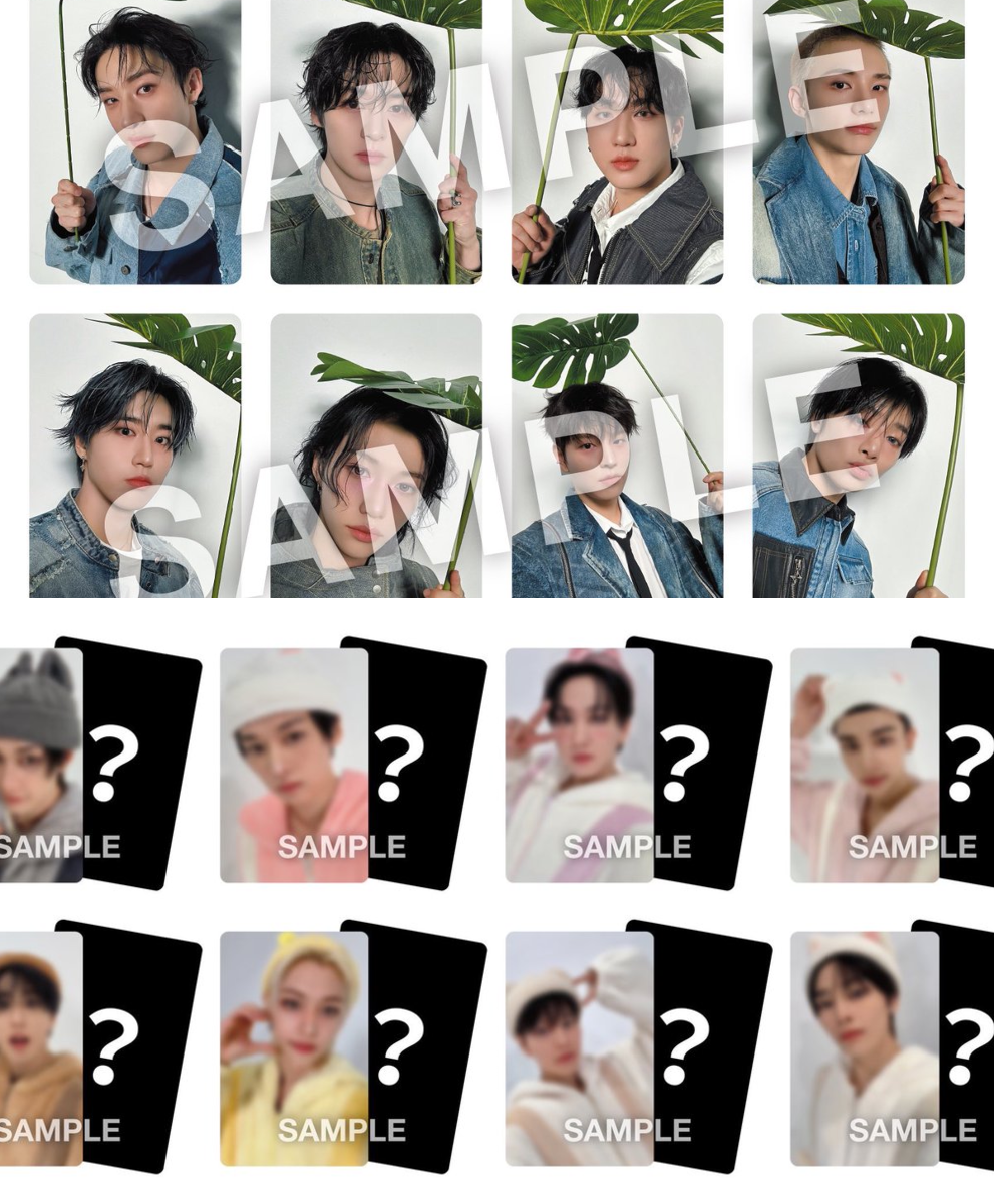 Stray Kids Japan Official on X: 