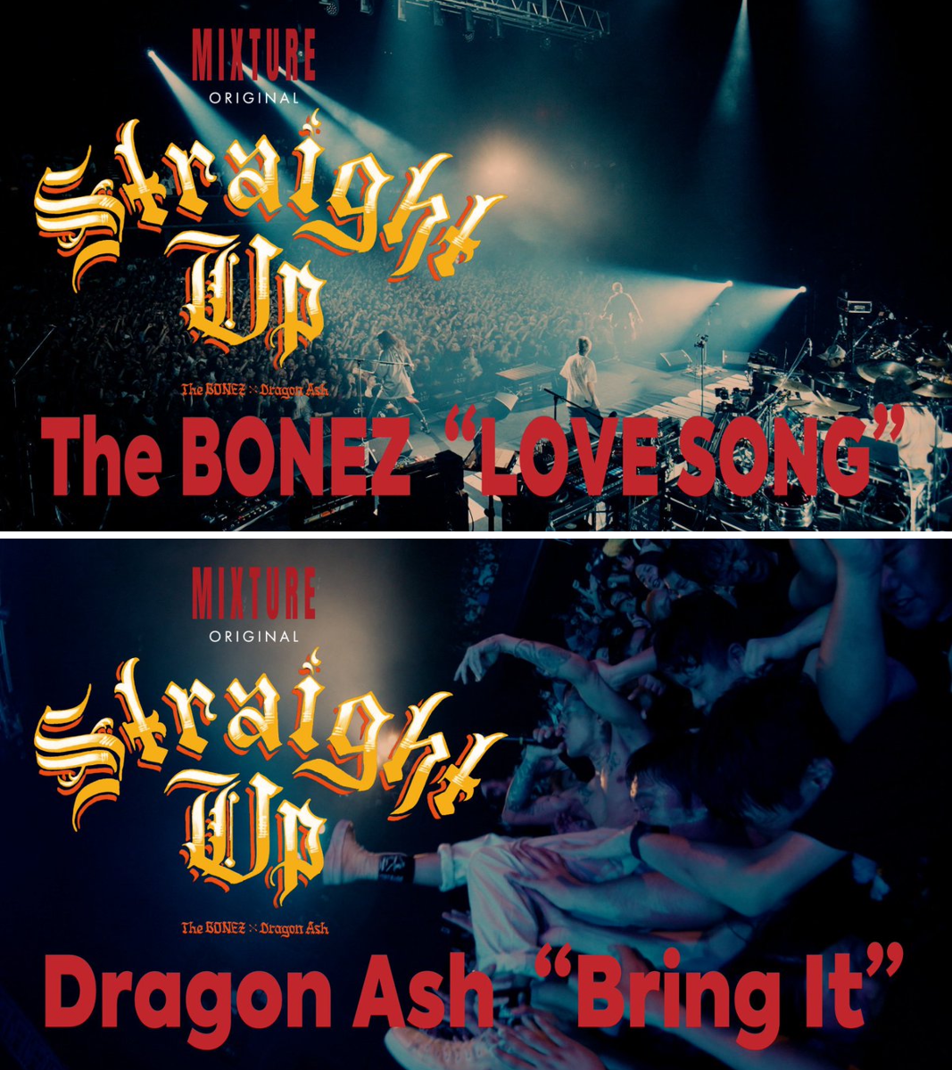 The BONEZ on X: 