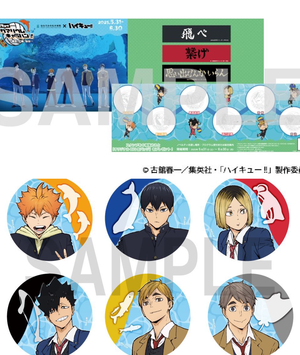 仙台うみの杜水族館公式 on X: 