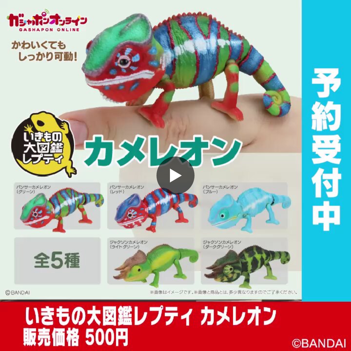 カメレオン 公式】バンダイ ガシャポン on X: 