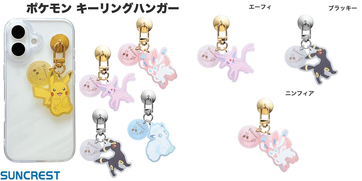ポケモングッズ紹介 イーブイコレクション on X: 