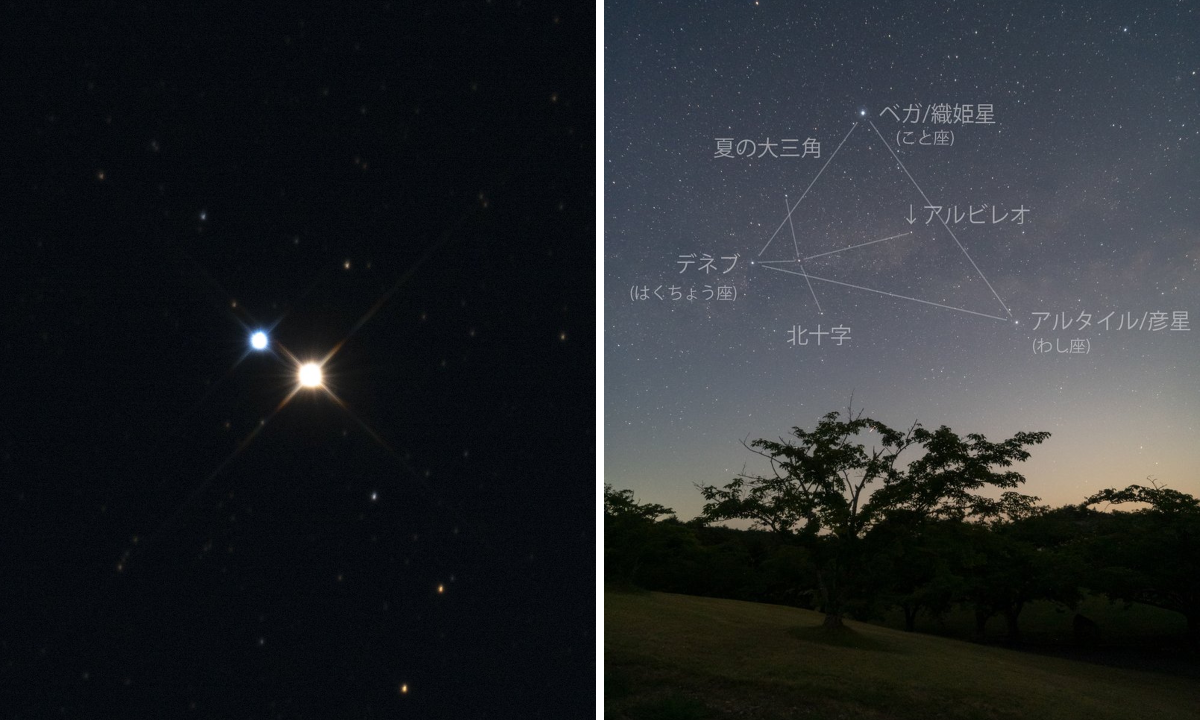 星の観察館「満天星」 on X: 