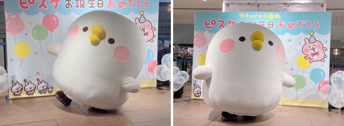 カナヘイの小動物 on X: 
