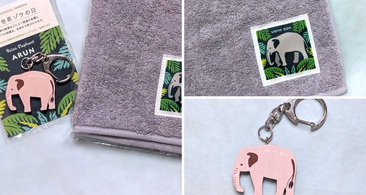 上野動物園［公式］ on X: 