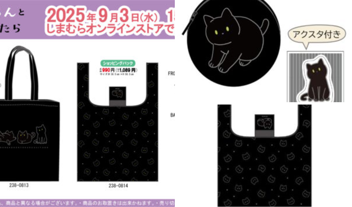 しまむら ドズル社 肉球クッションDozle-Nya 猫メガネケース エコ