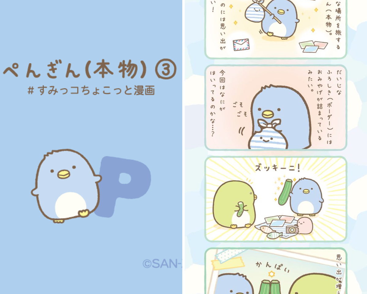 すみっコぐらし【公式】 on X: 