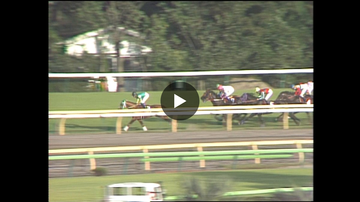 カンテレ競馬 on X: 