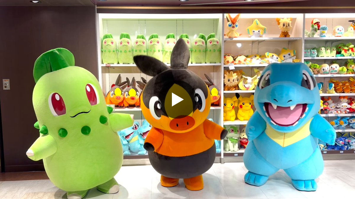 ポケモンだいすきクラブ編集部【公式】 on X: 