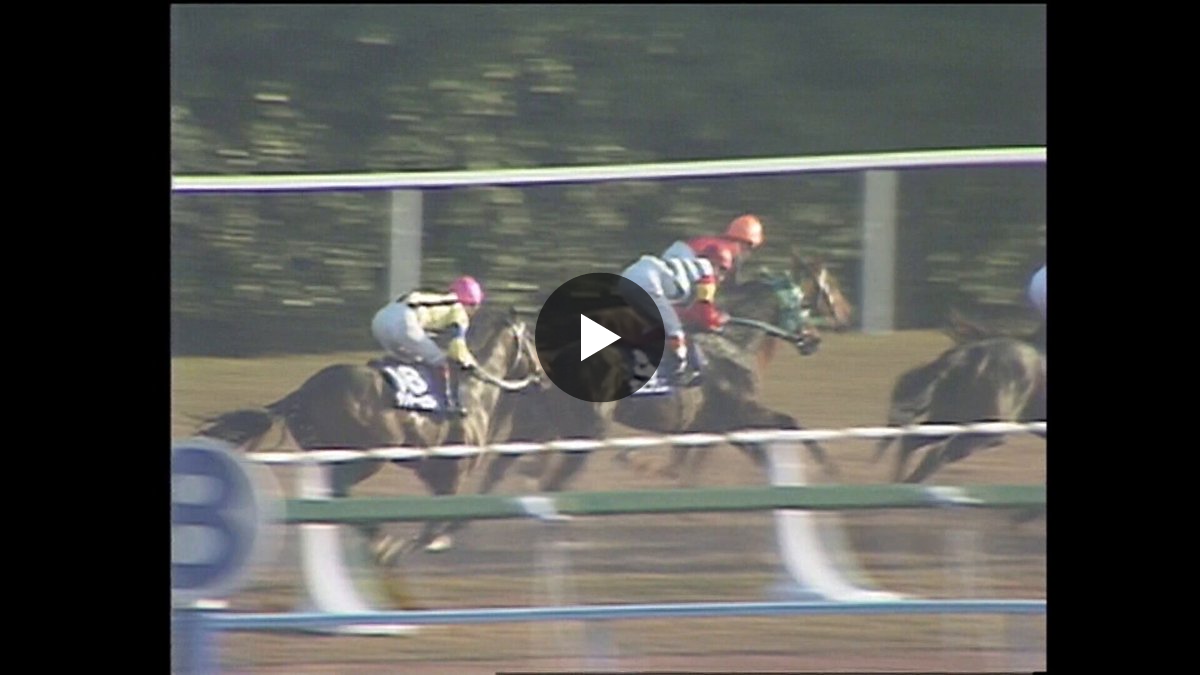 カンテレ競馬 on X: 