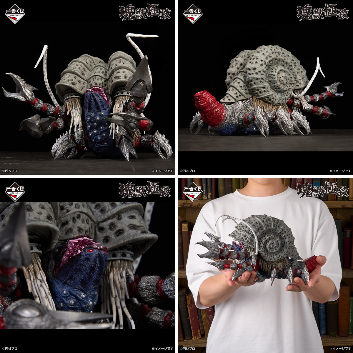 一番くじ（BANDAI SPIRITS） on X: 