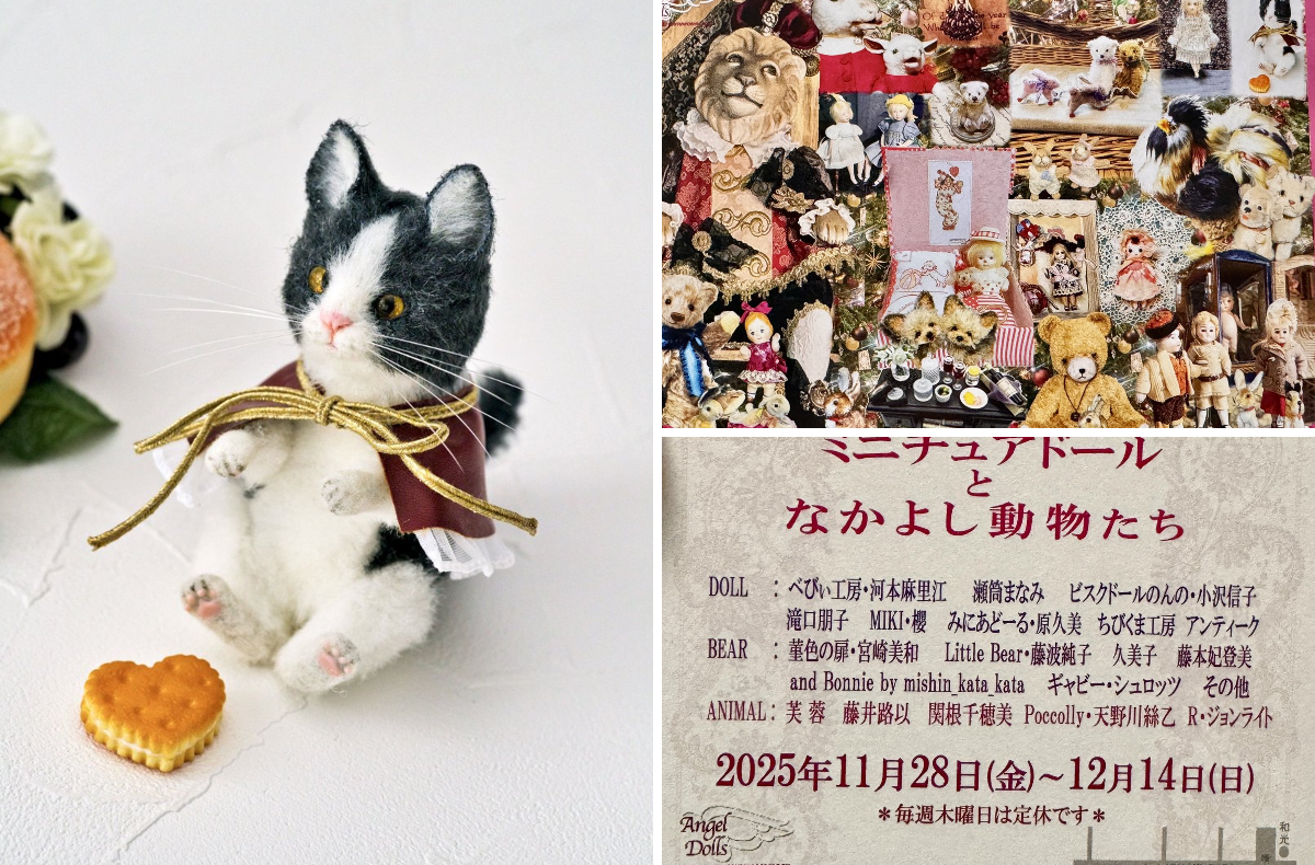 Poccolly 天野川絲乙/ｱﾏﾉｶﾞﾜｲﾄ on X: 