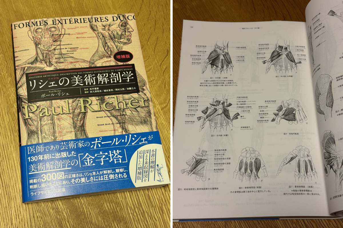 伊豆の美術解剖学者 on X: 