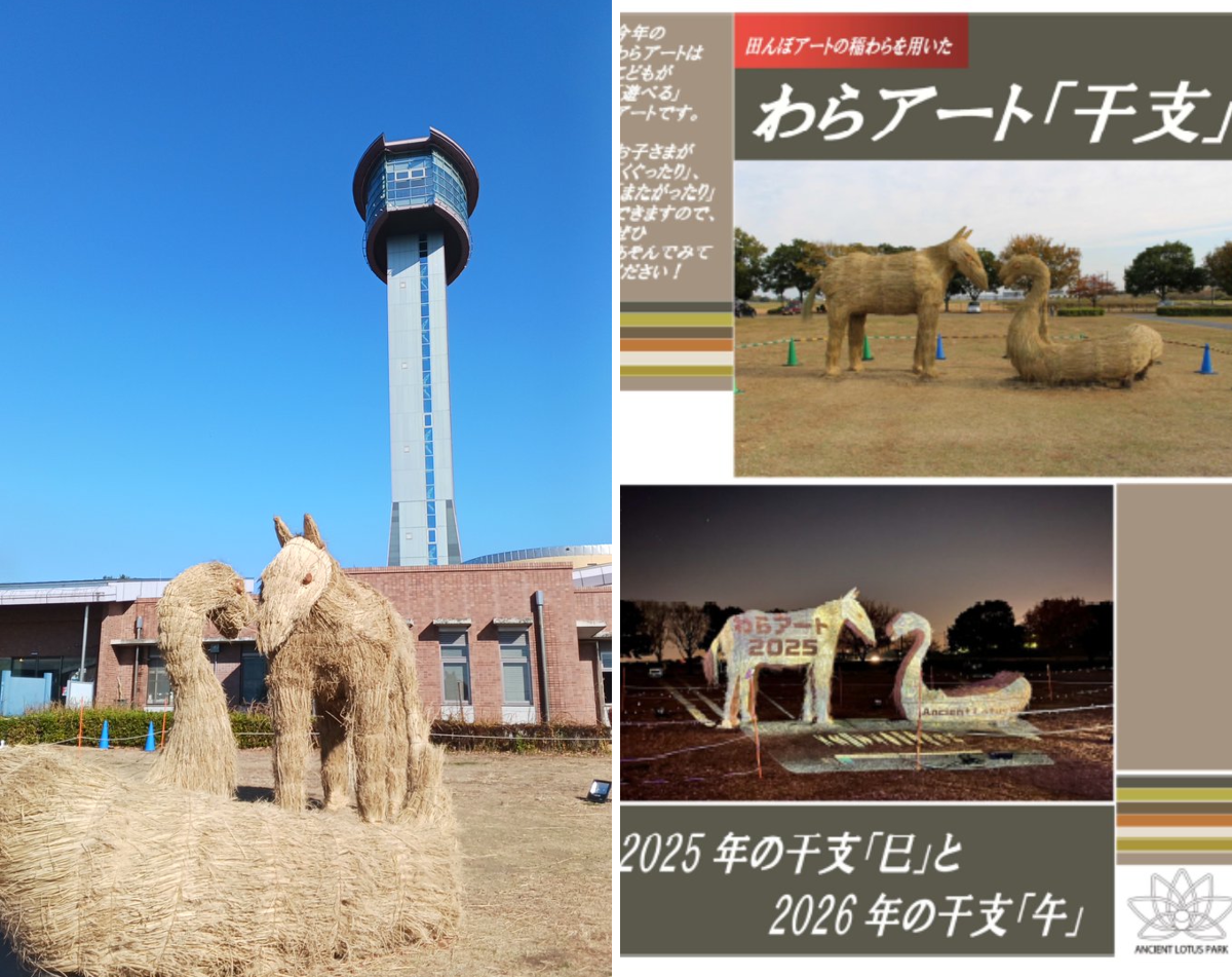 古代蓮の里・行田タワー on X: 