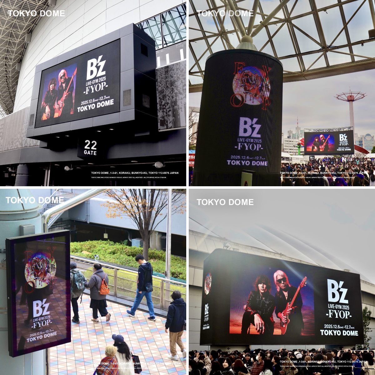 TOKYO DOME｜東京ドーム on X: 