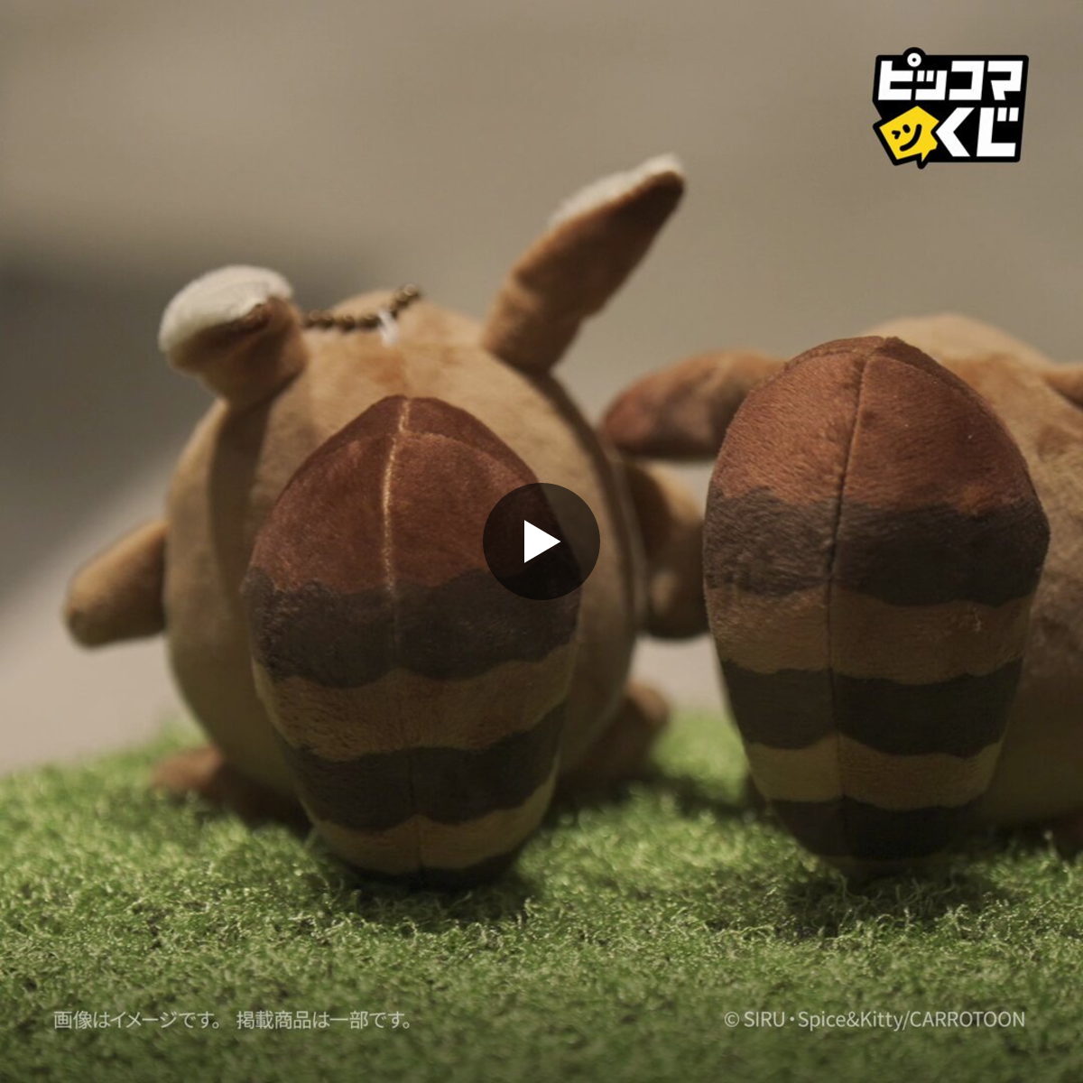 公式】ピッコマくじ on X: 